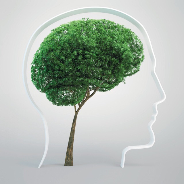 Психиатрия Онлайн