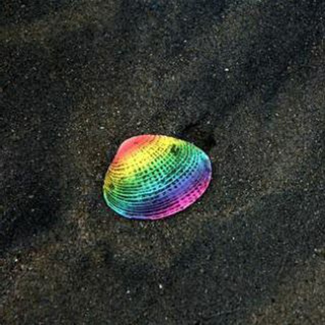 Rainbow shell