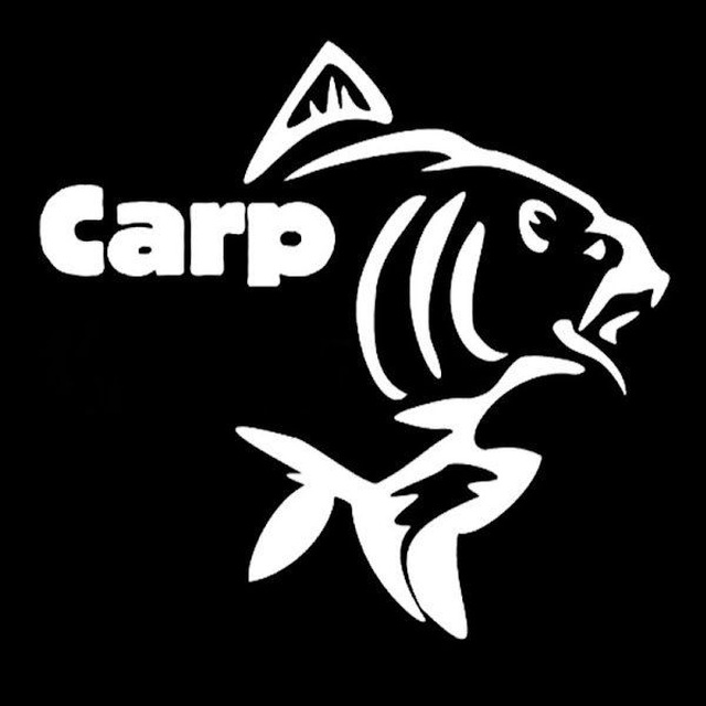 Carp