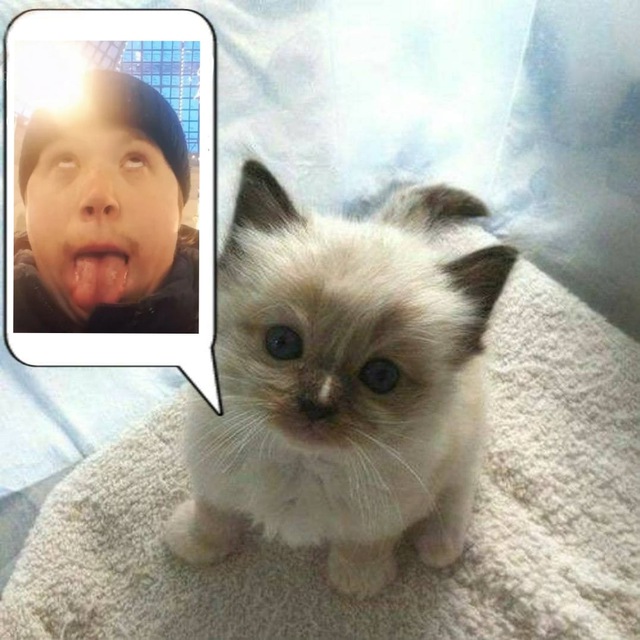 Миша Анимешник ПЕДОФИЛЬЩИК...