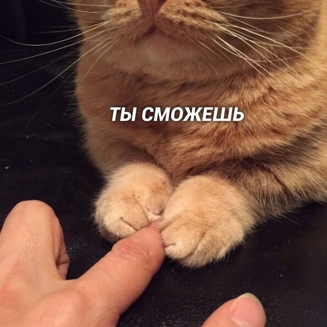 Минтайная связь
