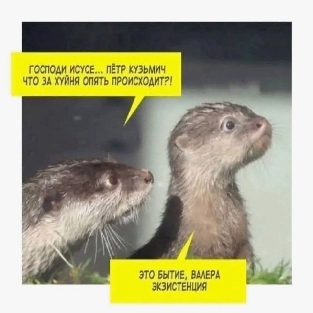 Бахнем маслица в огонь?