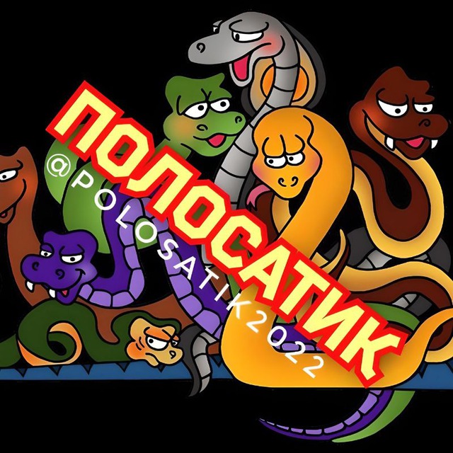 ПОЛОСАТИК | МИР ЗМЕЙ©? Змея Snake