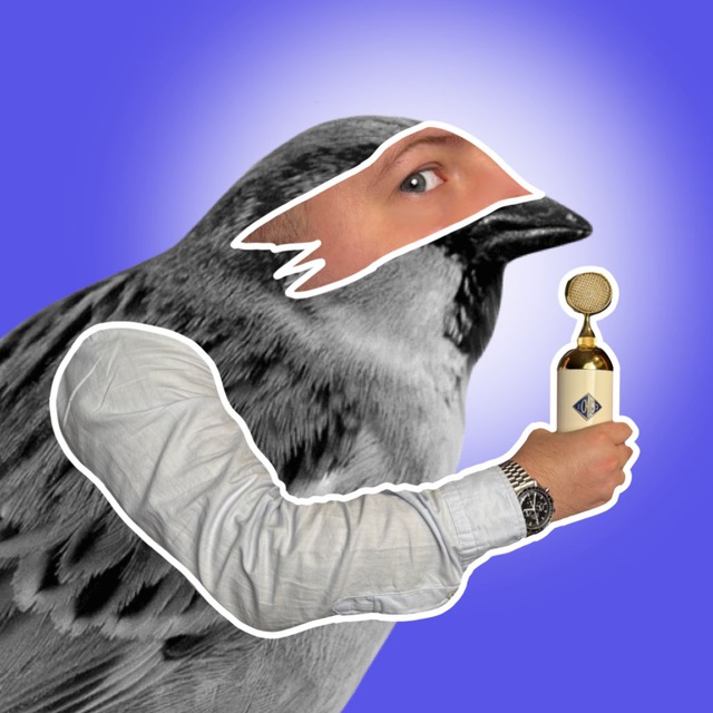 Воробей Новостей