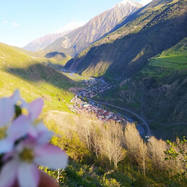 Мишлеш наш край.