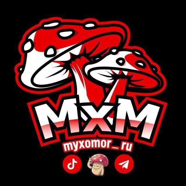 Купить мухомор mikrodoZing?