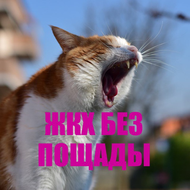ЖКХ без пощады