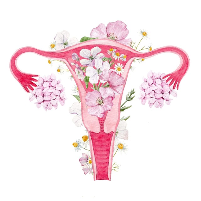 Акушерство и гинекология