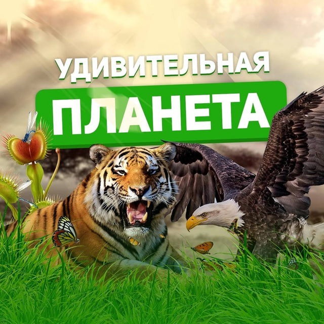 Крутая хозяйка | Рецепты | Советы