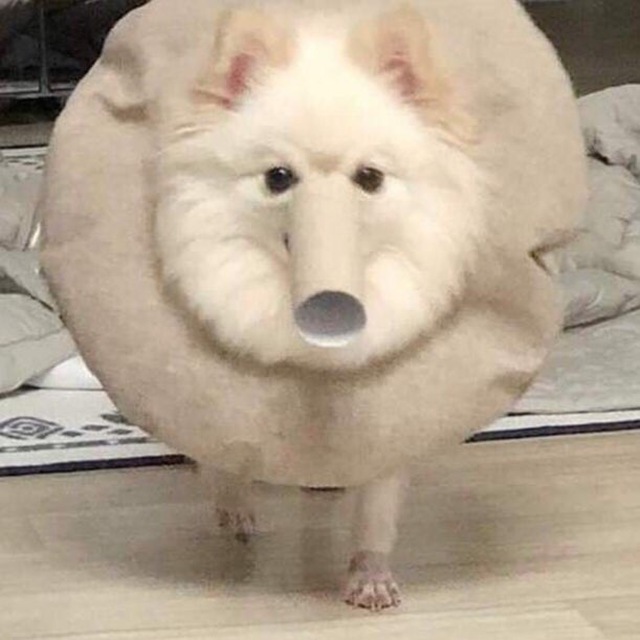 Вы знали
