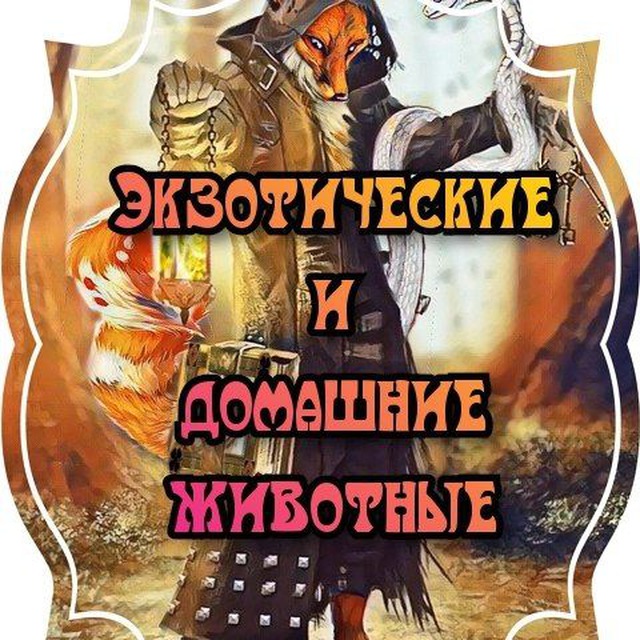 Домашние и Экзотические животные ДНР