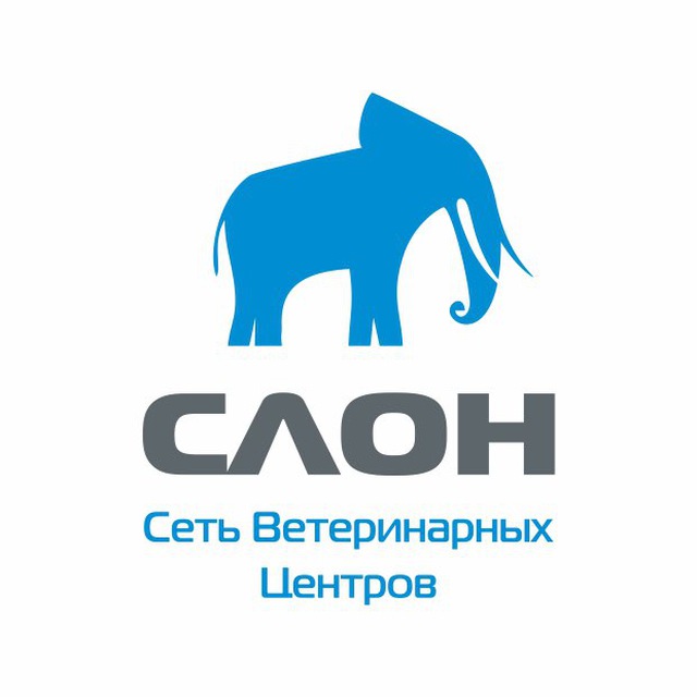 ВЕТЕРИНАРНЫЙ ЦЕНТР СЛОН ?г. Сочи