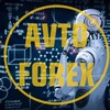 Avto Forex 🔥 - инвестиции, форекс, CFD, IPO