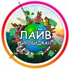 🥇 ЛАЙВ Биробиджан