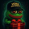 Voxa про Крипту