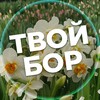 Твой Бор | tvoy-bor.ru