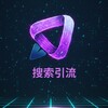 搜索引流