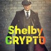 🇩🇪ShelbyCRYPTO67🇩🇪