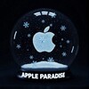 Apple Paradise