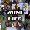 Mini Life ♡