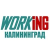 КАЛИНИНГРАД Работа
