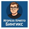 Игореха Крипто-Бингикс