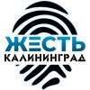 Жесть Калининград