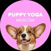 Йога со щенками в Москве