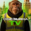 ОбезьянаTV